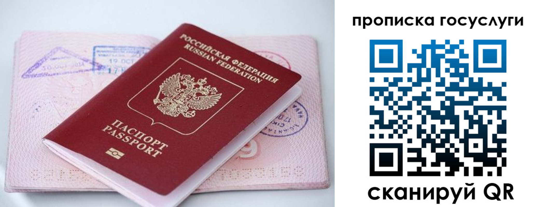 прописка законно в Курчатове